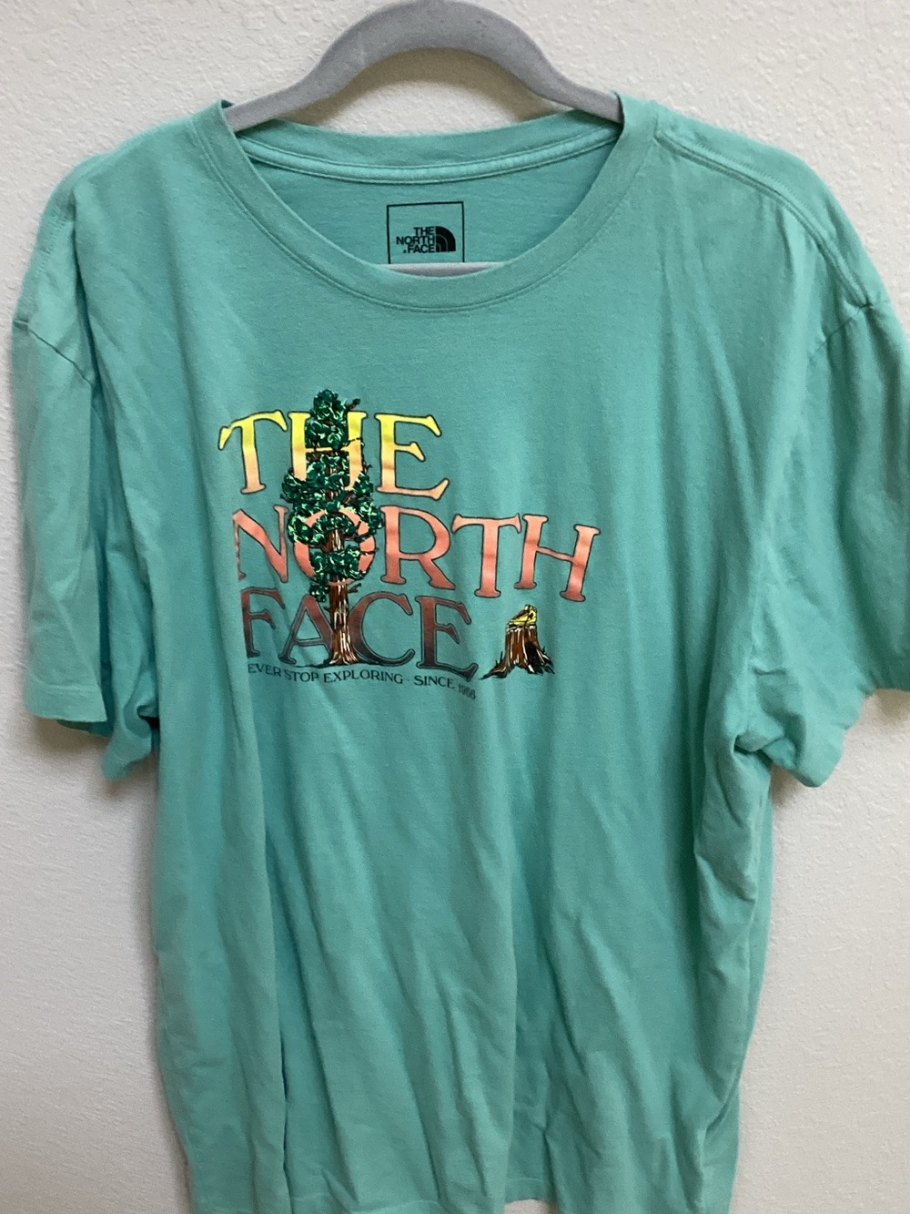 The North Face Mint Green Logo Graphic Tee